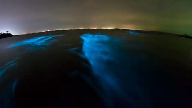 Bioluminescent bays